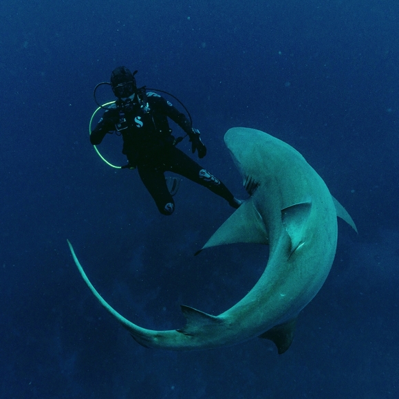 Meet your Posher, Jill - Picture 1 of 1